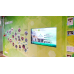Computer Kiosk For Large TV (SA-01-Box-Green)